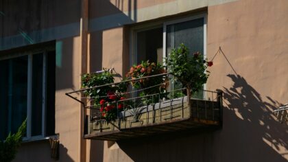Lietuviškas sodas balkone ir ant palangės: kaip susikurti jaukią žalią erdvę net mažoje vietoje
