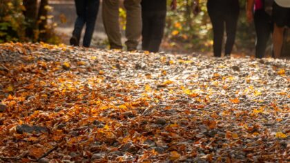 Rudens savaitgaliai gamtoje: 9 paprastos idėjos, kaip išnaudoti spalvų sezoną be didelių išlaidų