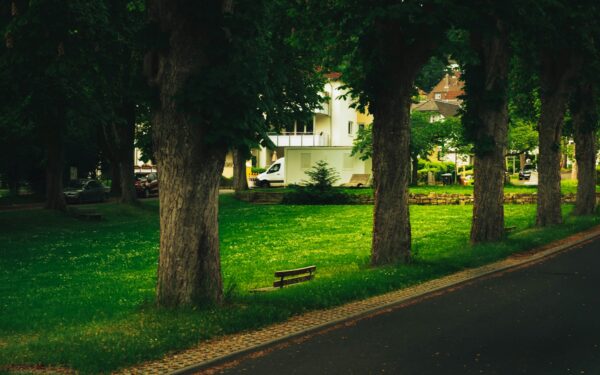 Vasariškas streso sumažinimas be atostogų: kaip gamta ir šviesa padeda nusiraminti po darbo dienos