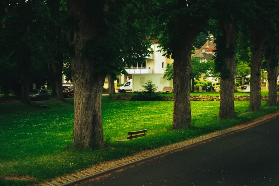 Pagrindinė iliustracija
