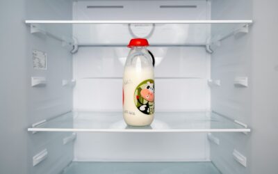 Kaip šaldytuve laikyti pieno produktus ir likučius: aiškus gidas, kad nereikėtų išmesti maisto