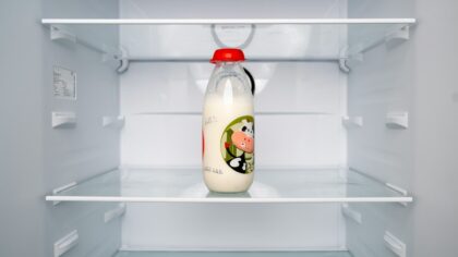 Kaip šaldytuve laikyti pieno produktus ir likučius: aiškus gidas, kad nereikėtų išmesti maisto