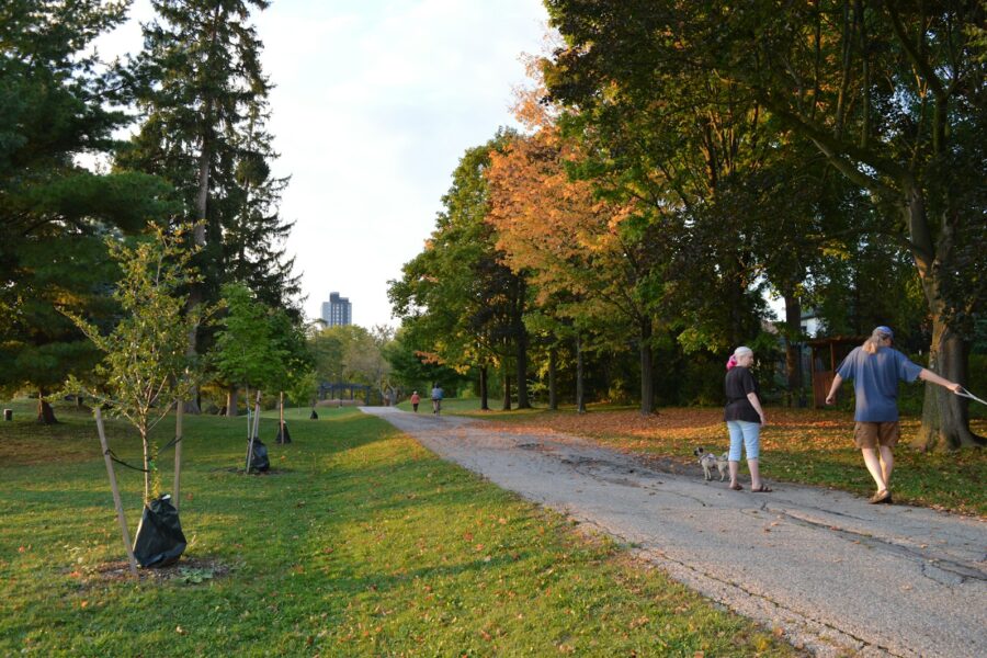 Pagrindinė iliustracija